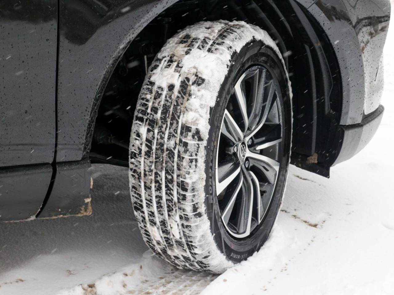 2024 Toyota Venza LE  - $278 B/W Photo