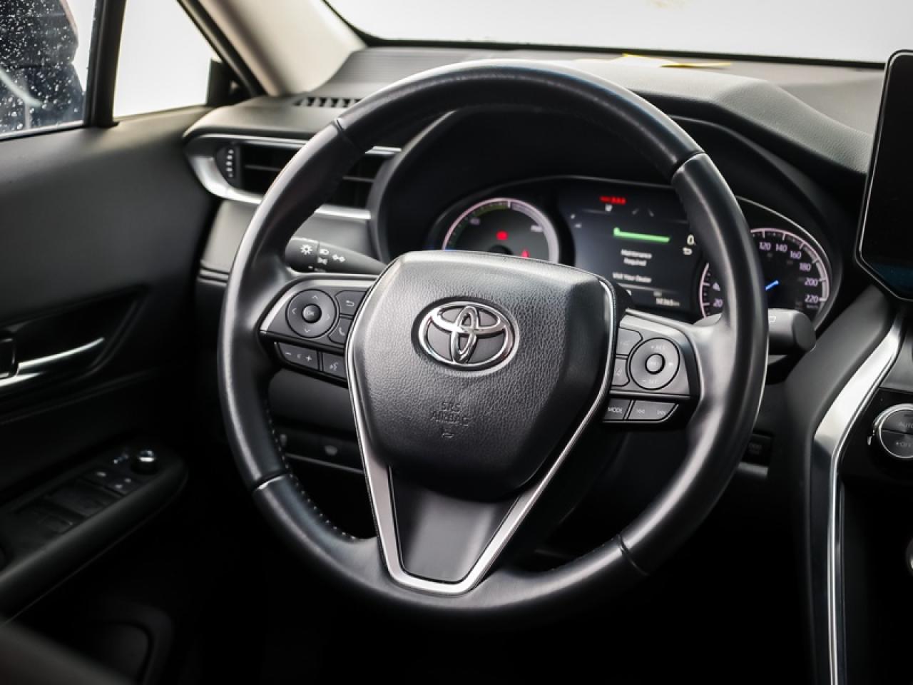 2024 Toyota Venza LE  - $278 B/W Photo
