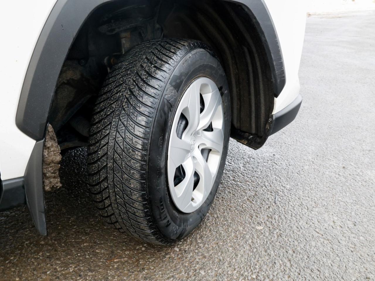 2023 Toyota RAV4 LE  - Heated Seats -  Apple CarPlay - $222 B/W Photo