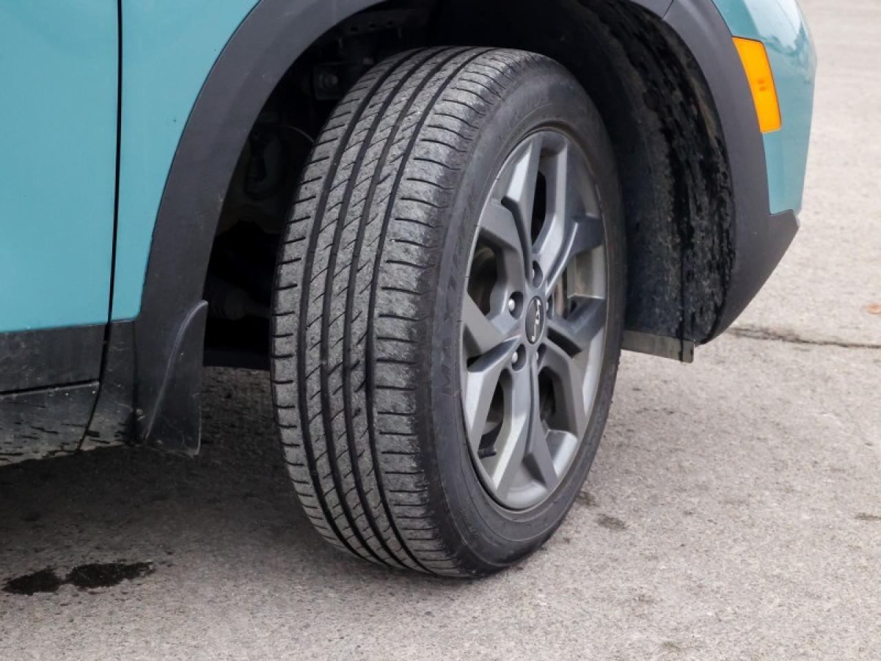 2024 Kia Seltos EX  - $185 B/W Photo