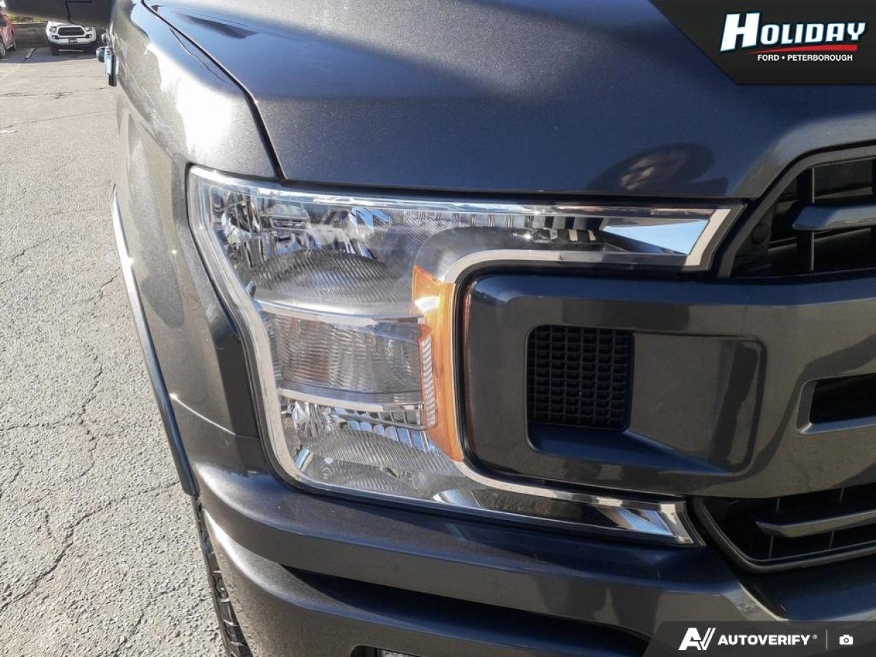 2020 Ford F-150 XLT Photo