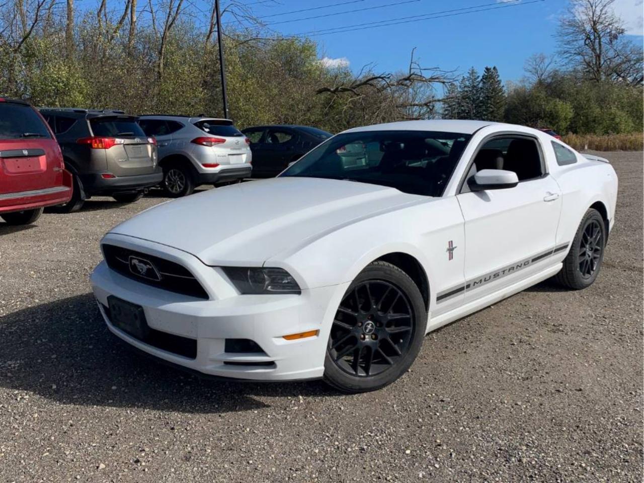 Used 2014 Ford Mustang V6 for sale in Madoc, ON