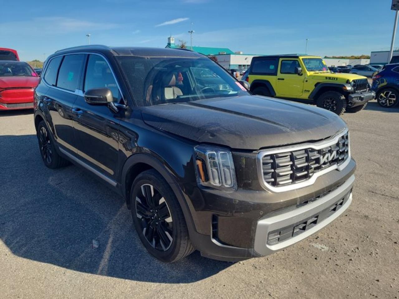 Used 2023 Kia Telluride SX Limited | Terracotta Leather | Pano Roof | 360 Camera | Nav | Smart Cruise | and More ! for sale in Guelph, ON