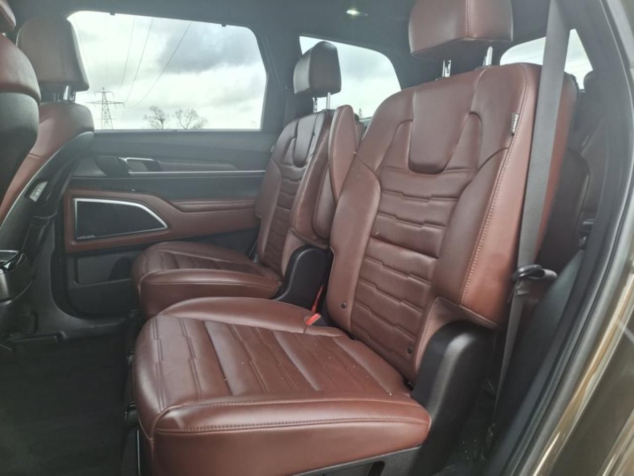 2023 Kia Telluride SX Limited | Terracotta Leather | Pano Roof | 360 Camera | Nav | Smart Cruise | and More ! Photo