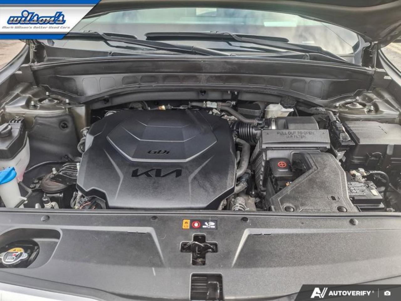 2023 Kia Telluride SX Limited | Terracotta Leather | Pano Roof | 360 Camera | Nav | Smart Cruise | and More ! Photo