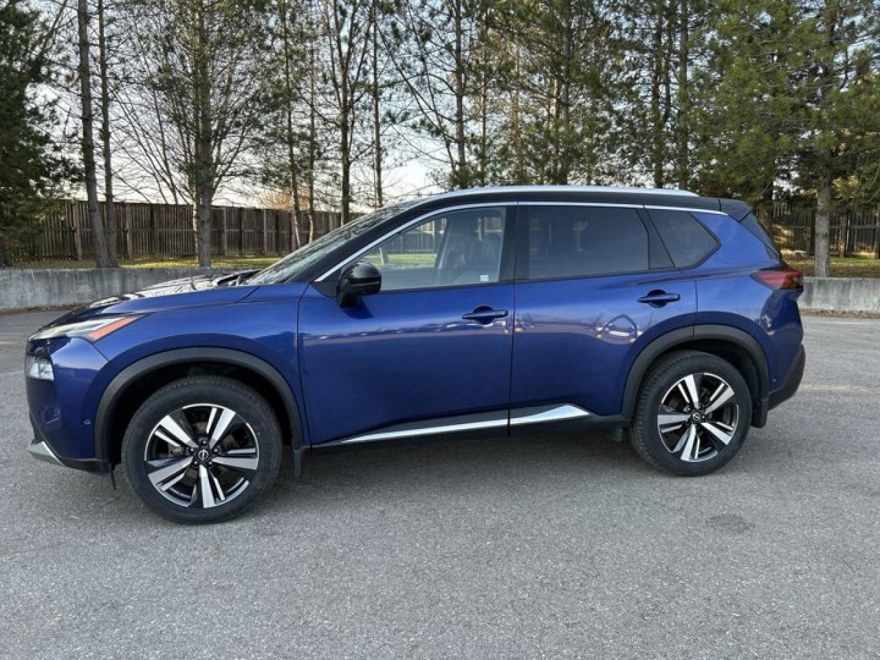 2022 Nissan Rogue Platinum AWD Photo