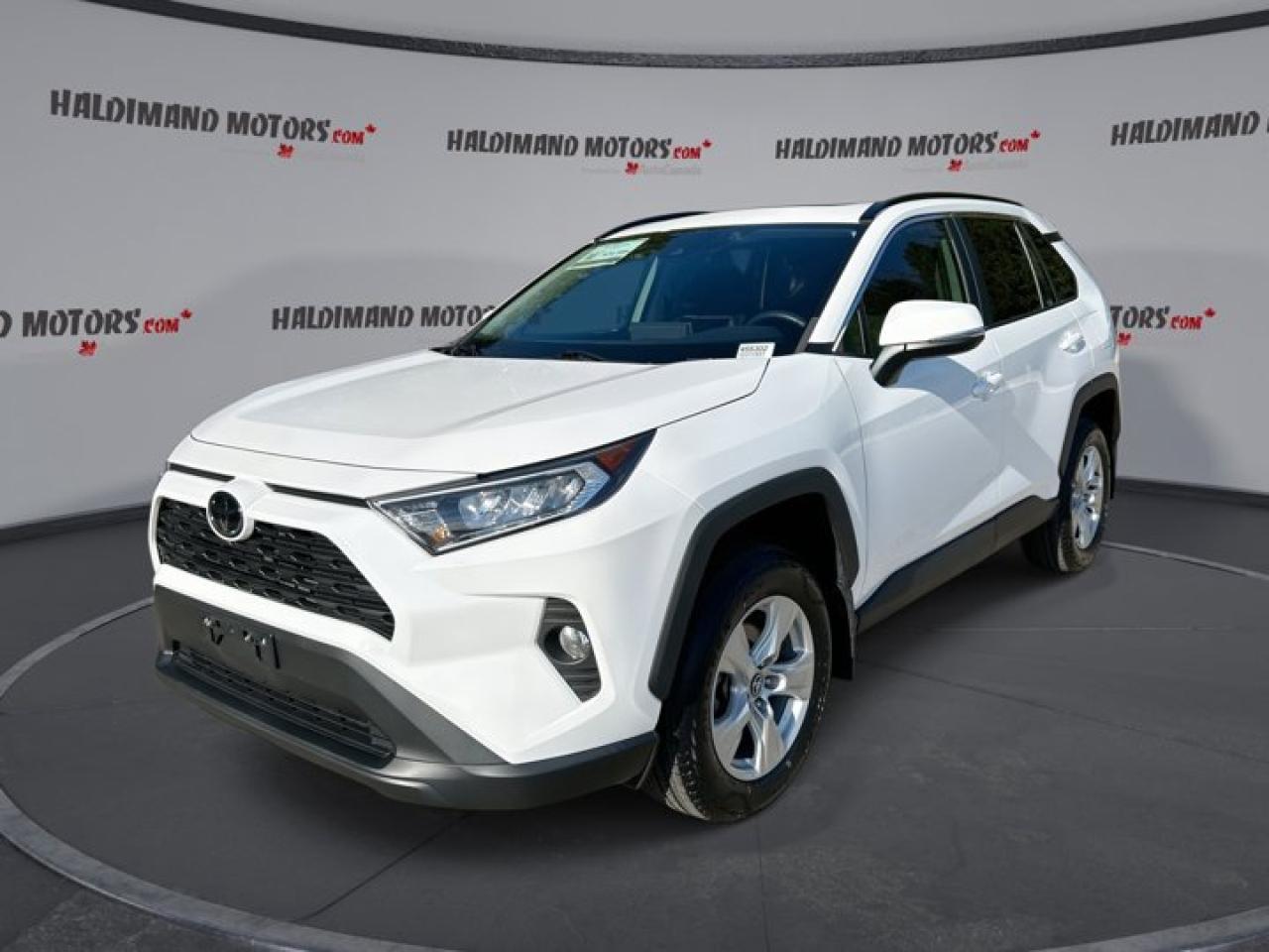 2019 Toyota RAV4 XLE Photo0