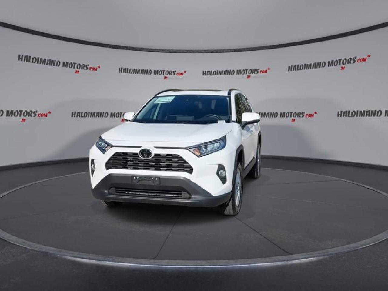 2019 Toyota RAV4 XLE Photo