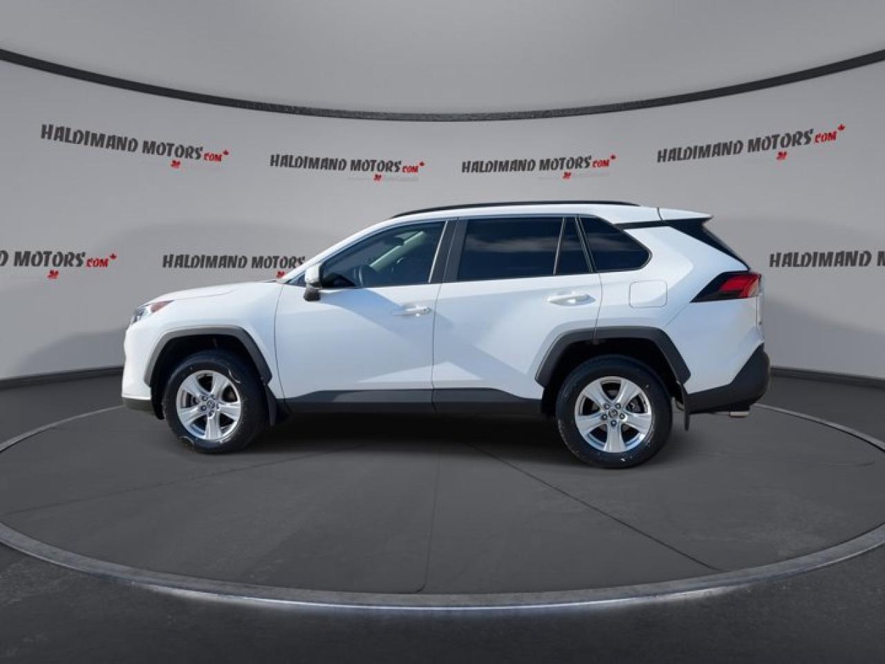 2019 Toyota RAV4 XLE Photo