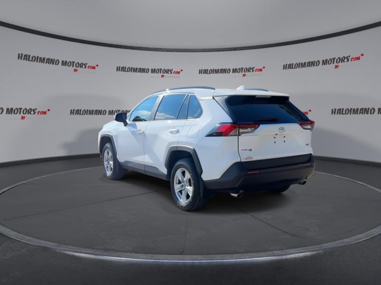 2019 Toyota RAV4 XLE Photo
