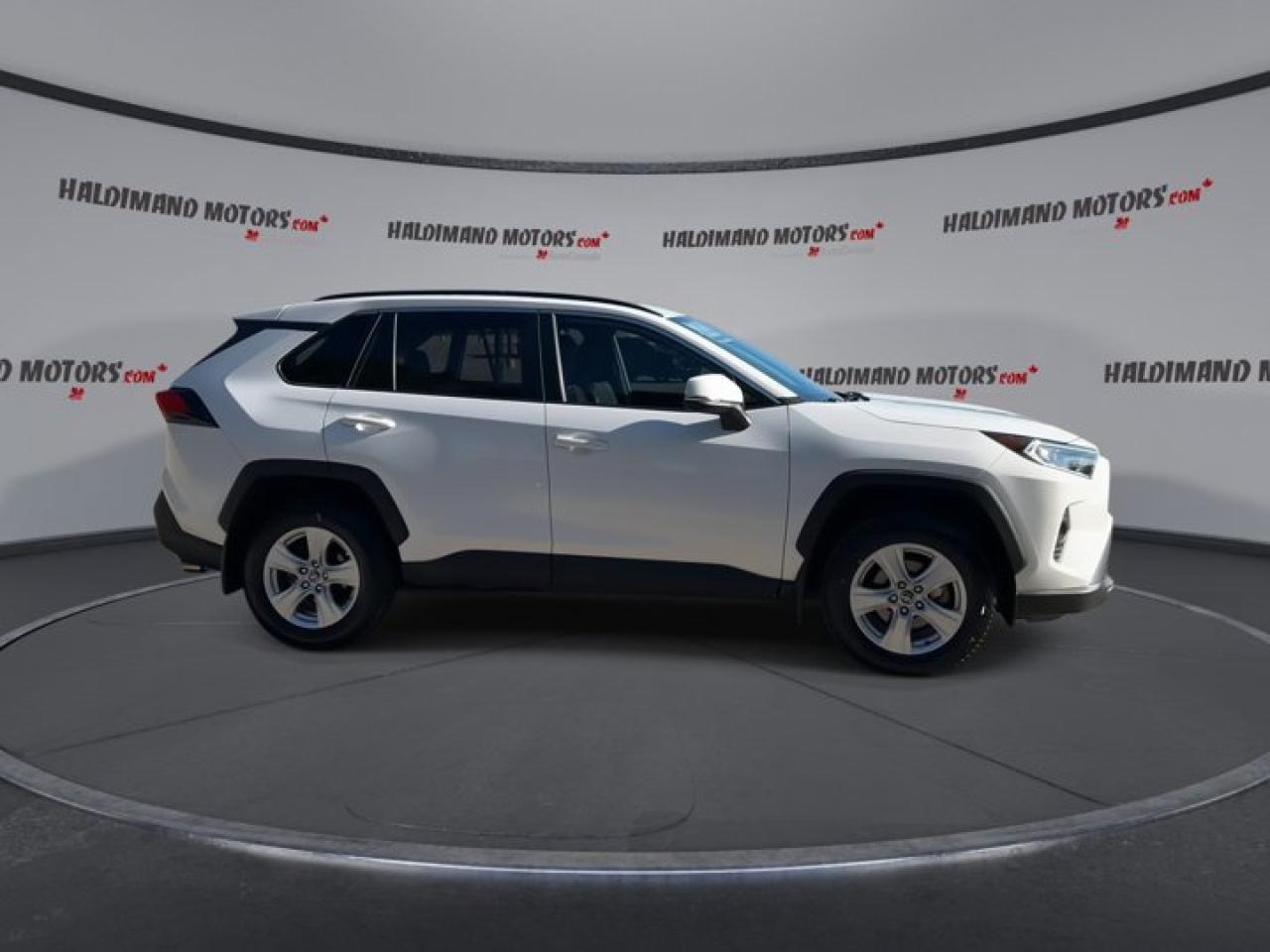 2019 Toyota RAV4 XLE Photo