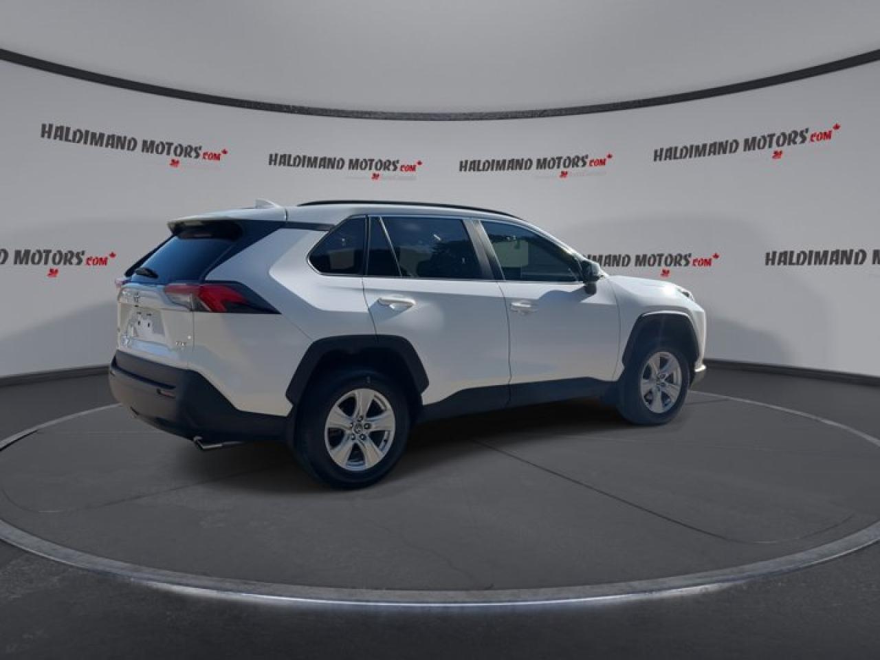 2019 Toyota RAV4 XLE Photo
