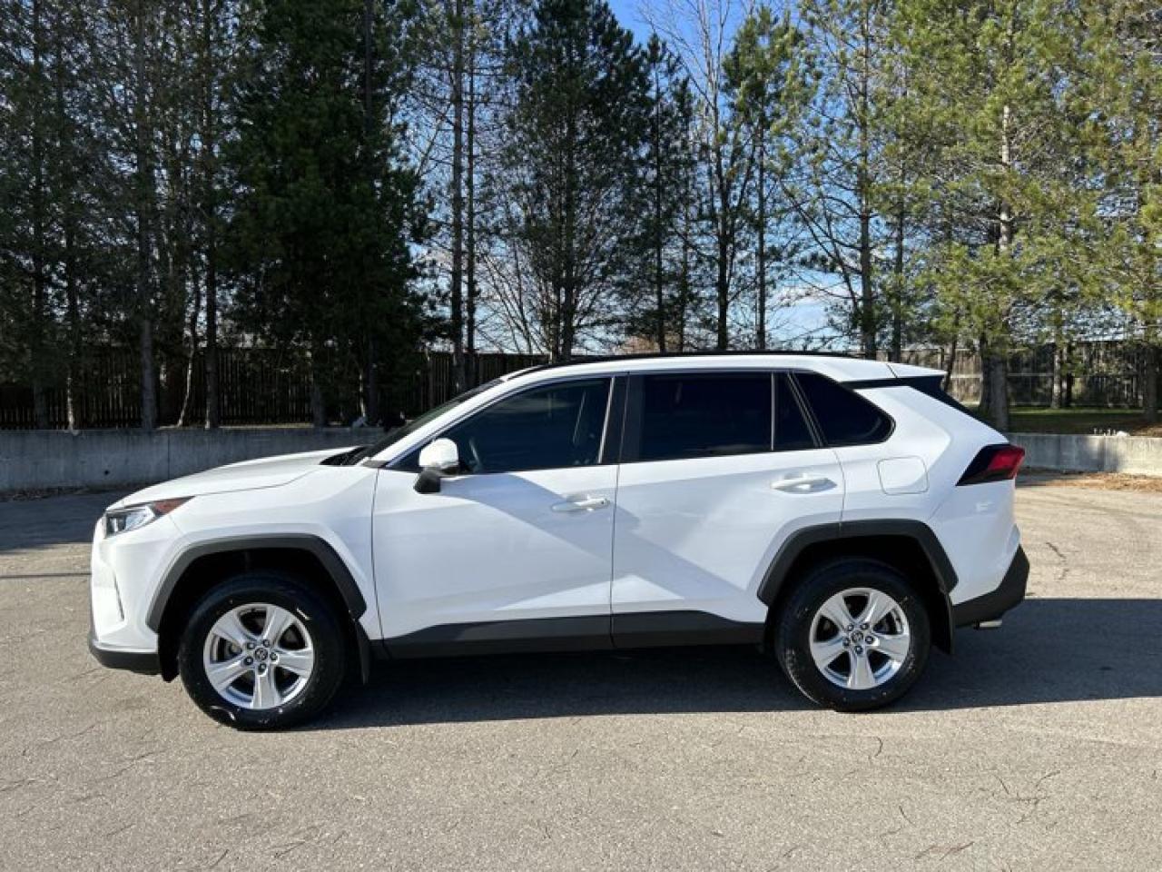 2019 Toyota RAV4 XLE Photo
