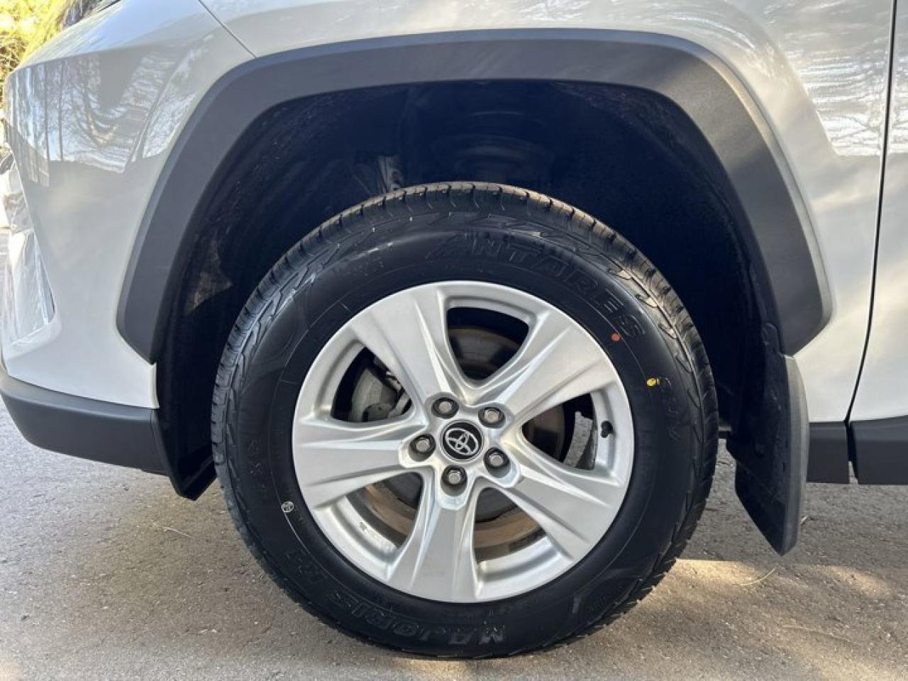 2019 Toyota RAV4 XLE Photo