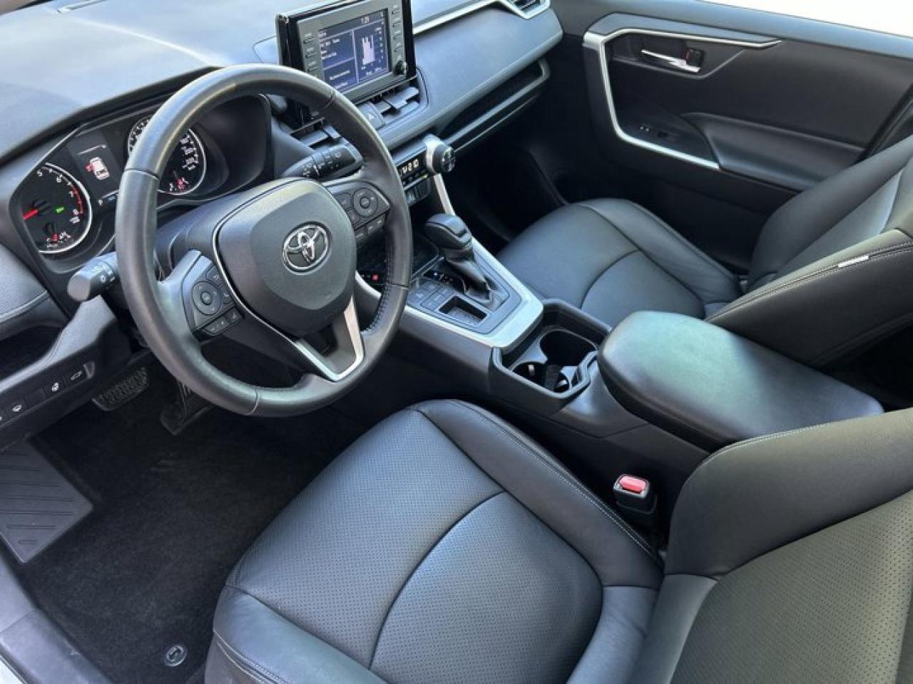 2019 Toyota RAV4 XLE Photo