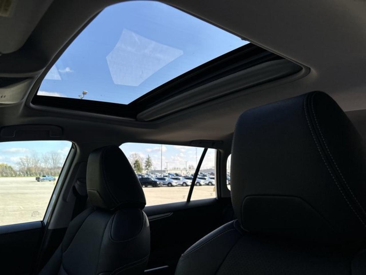 2019 Toyota RAV4 XLE Photo