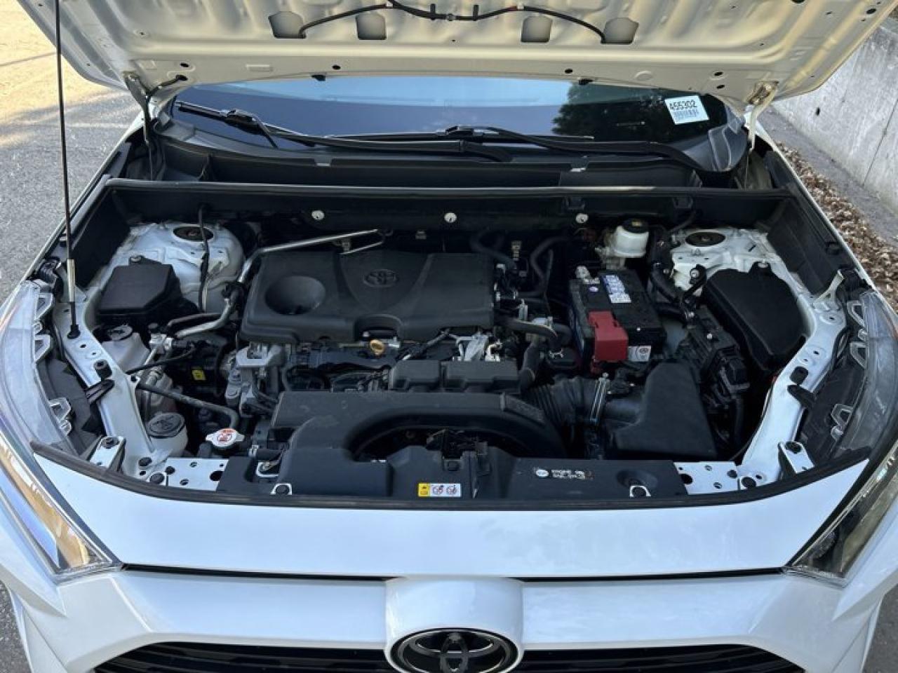 2019 Toyota RAV4 XLE Photo