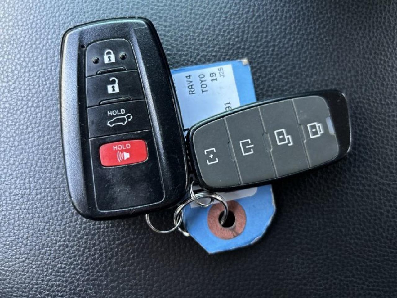 2019 Toyota RAV4 XLE Photo