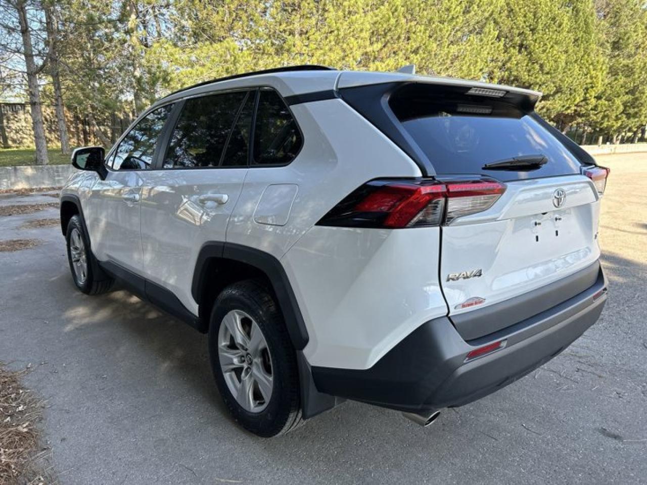 2019 Toyota RAV4 XLE Photo