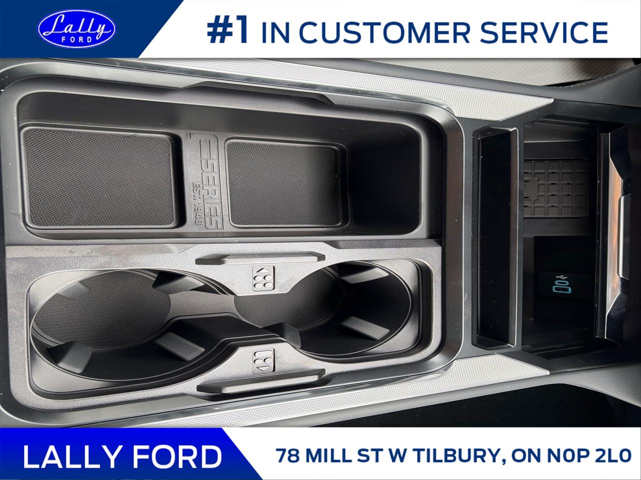 2026 Ford F-250 Platinum Photo