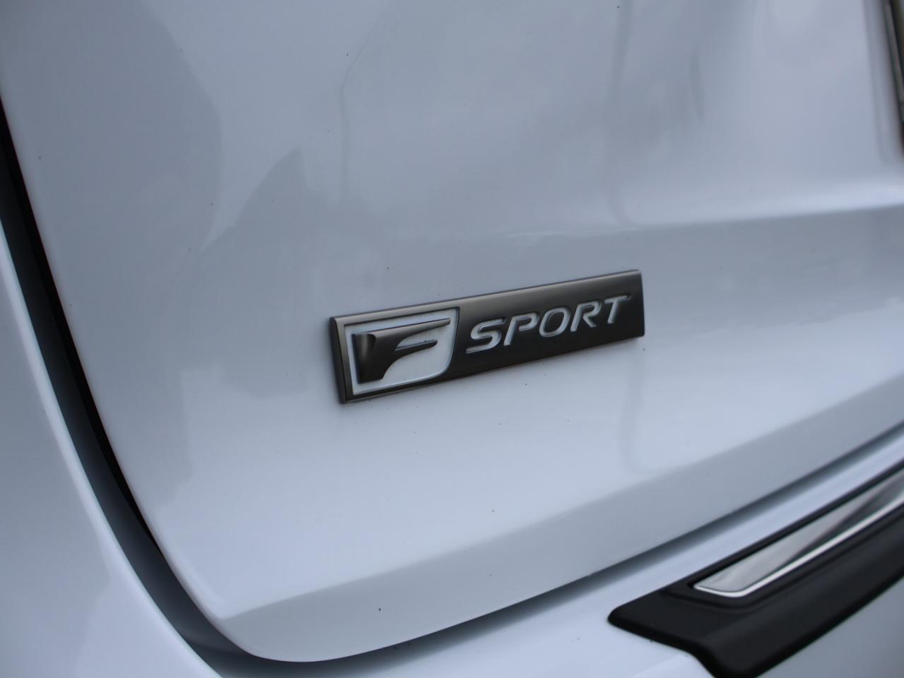 2019 Lexus NX 300t F-SPORT AWD CERTIFIED *ACCIDENT FREE*2nd WINTER* CAMERA NAV COOL/HEAT LEATHER SEAT/STEERING SUNROOF BLUETOOTH B.SPOT ALLOYS - Photo #45