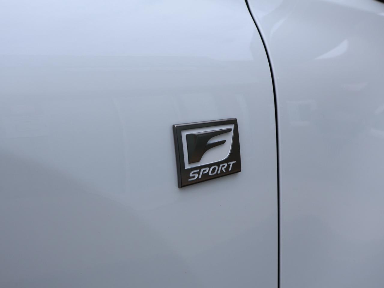 2019 Lexus NX 300t F-SPORT AWD CERTIFIED *ACCIDENT FREE*2nd WINTER* CAMERA NAV COOL/HEAT LEATHER SEAT/STEERING SUNROOF BLUETOOTH B.SPOT ALLOYS - Photo #46