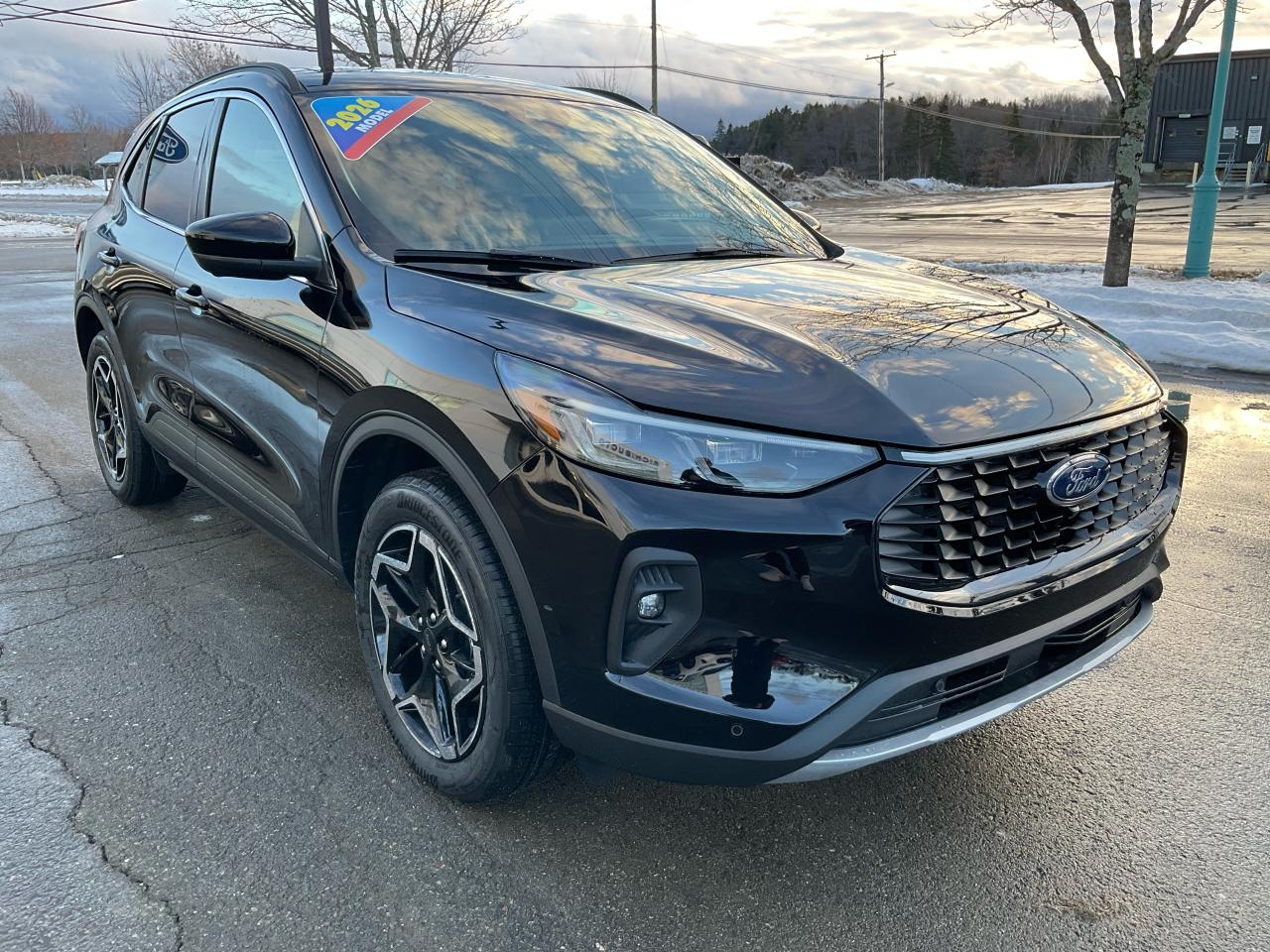 2026 Ford Escape Platinum Photo2