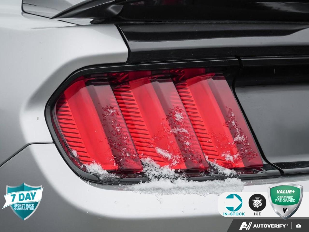 2017 Ford Mustang GT BACKUP CAMERA | POWER WINDOWS | REMOTE KEYLESS ENT Photo