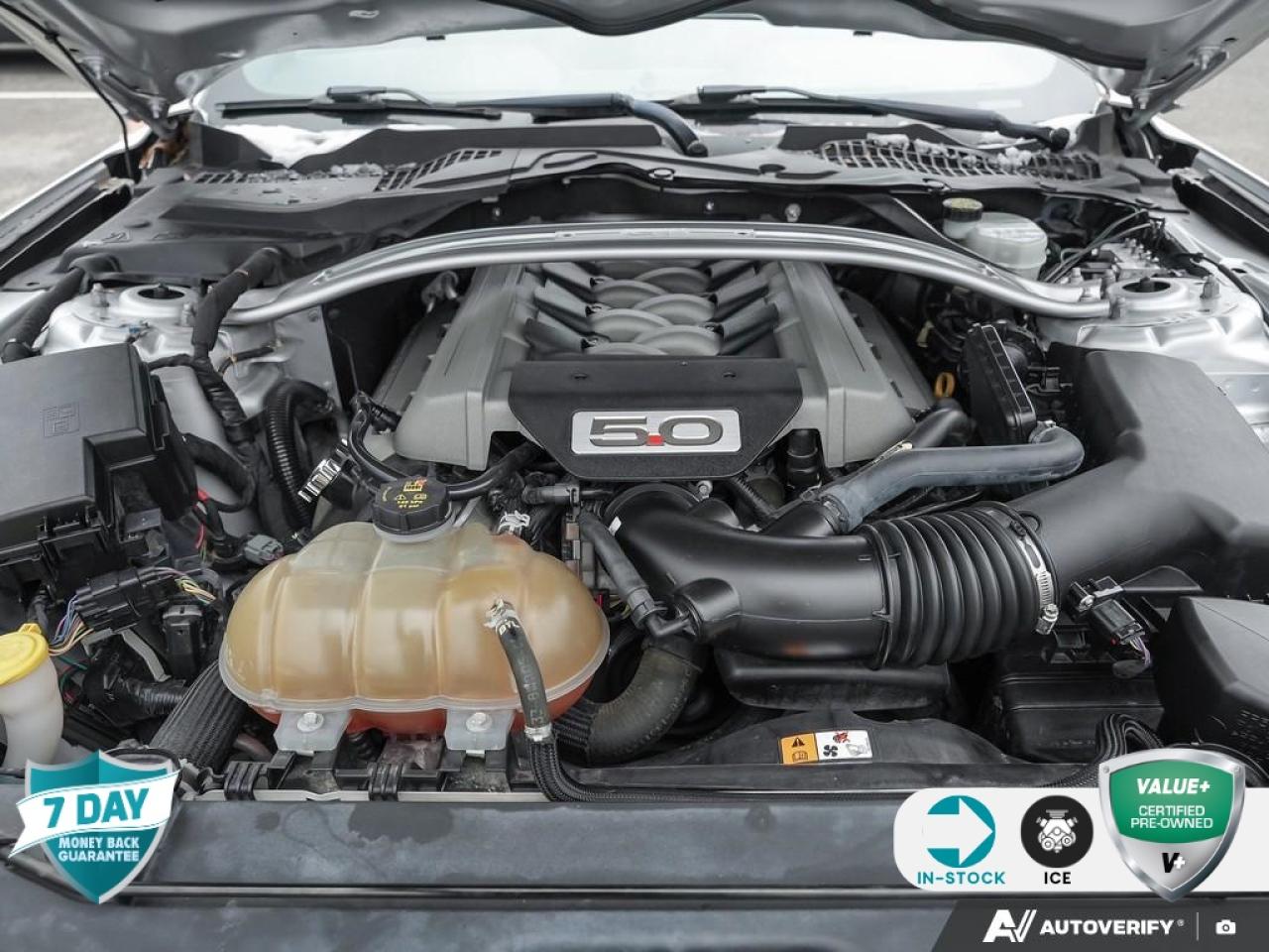 2017 Ford Mustang GT BACKUP CAMERA | POWER WINDOWS | REMOTE KEYLESS ENT Photo