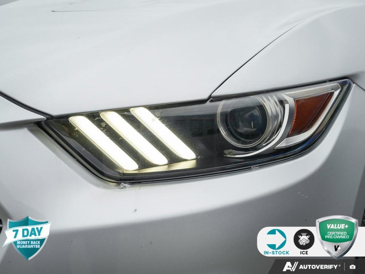 2017 Ford Mustang GT BACKUP CAMERA | POWER WINDOWS | REMOTE KEYLESS ENT Photo