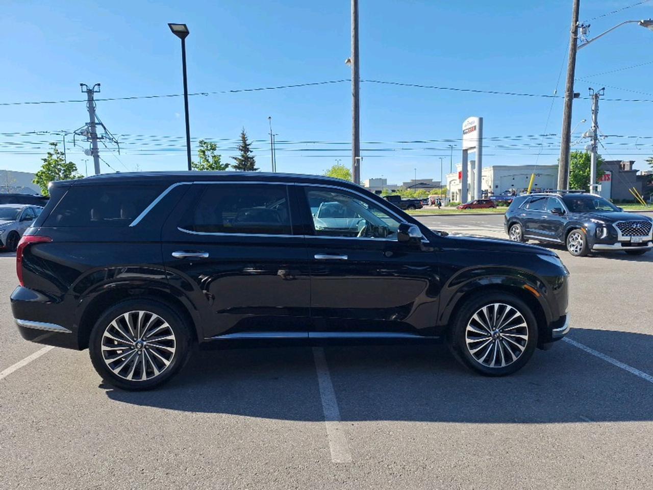 2025 Hyundai PALISADE Ultimate Calligraphy w/Beige Interior Photo