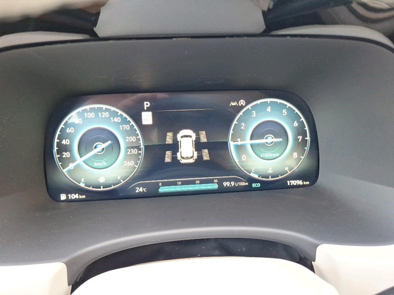 2025 Hyundai PALISADE Ultimate Calligraphy w/Beige Interior Photo