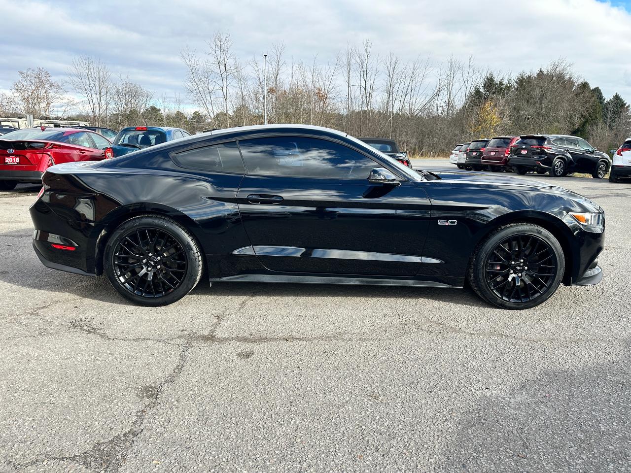 2017 Ford Mustang GT Performance 6Speed Leather NAV CarPlay RearCam Photo4