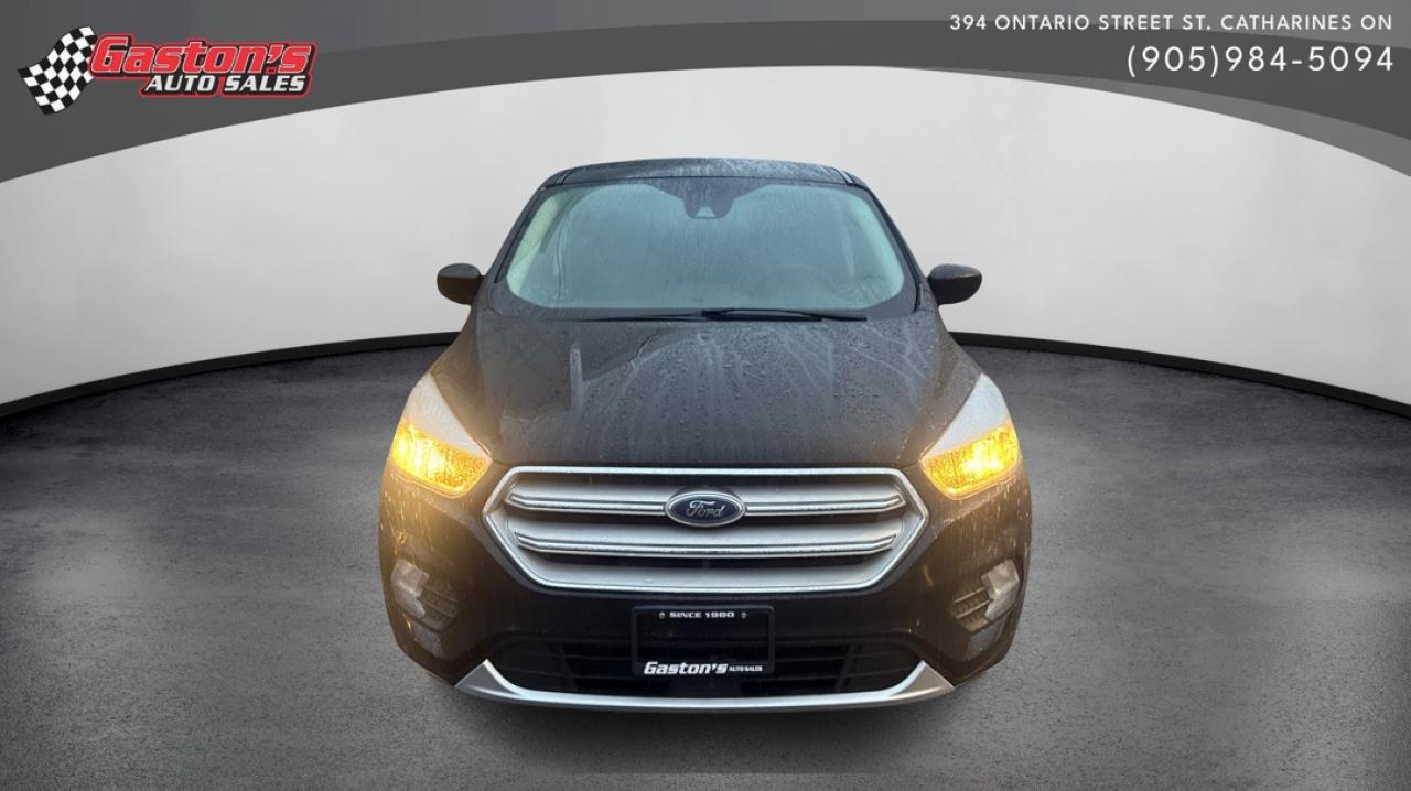 2019 Ford Escape SE Photo