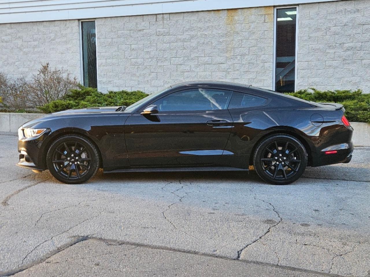2017 Ford Mustang FASTBACK GT-6 SPEED MANUAL-5.0L COYOTE Photo2
