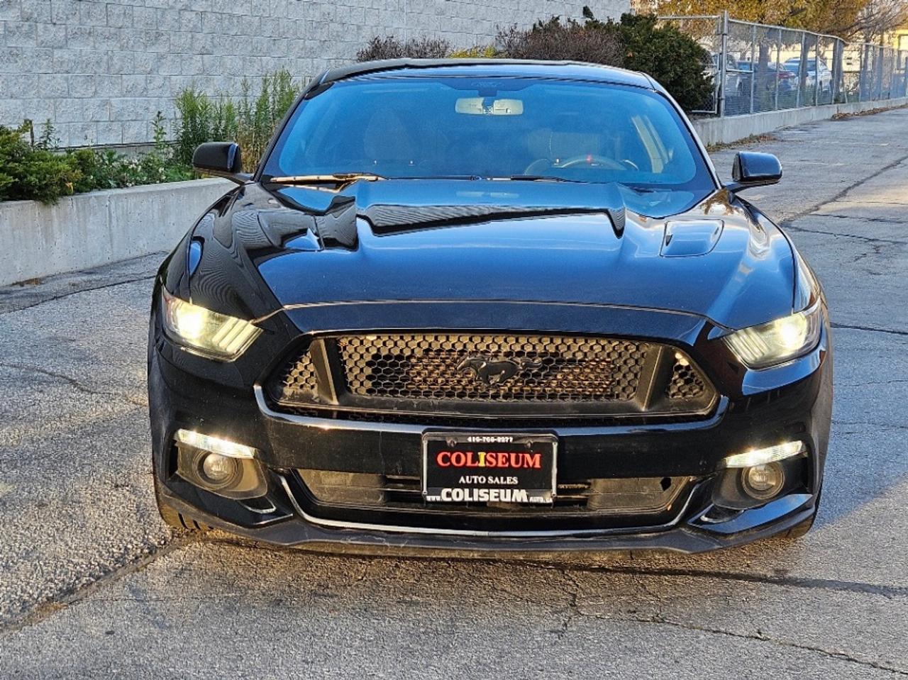 2017 Ford Mustang FASTBACK GT-6 SPEED MANUAL-5.0L COYOTE Photo