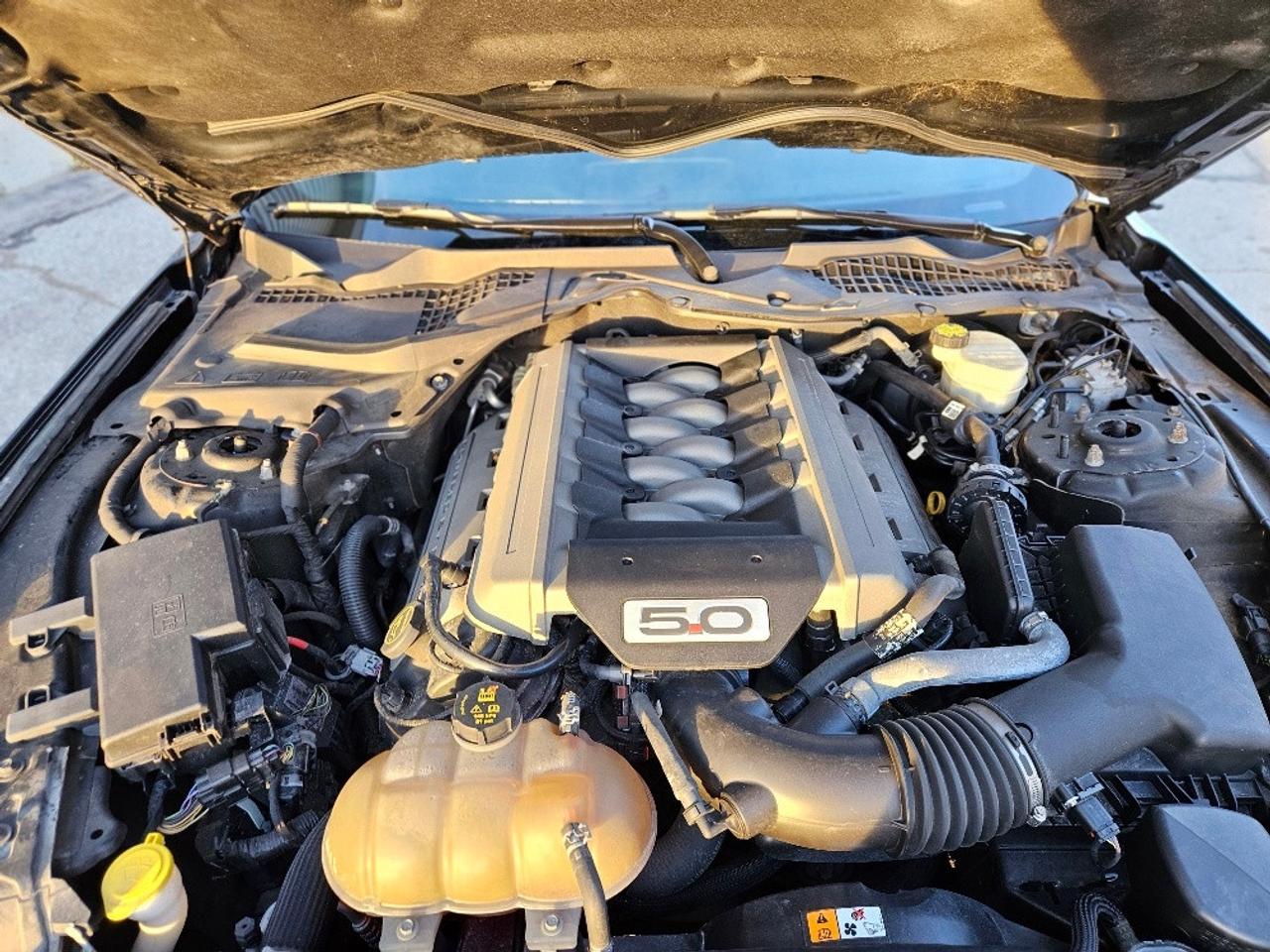 2017 Ford Mustang FASTBACK GT-6 SPEED MANUAL-5.0L COYOTE Photo