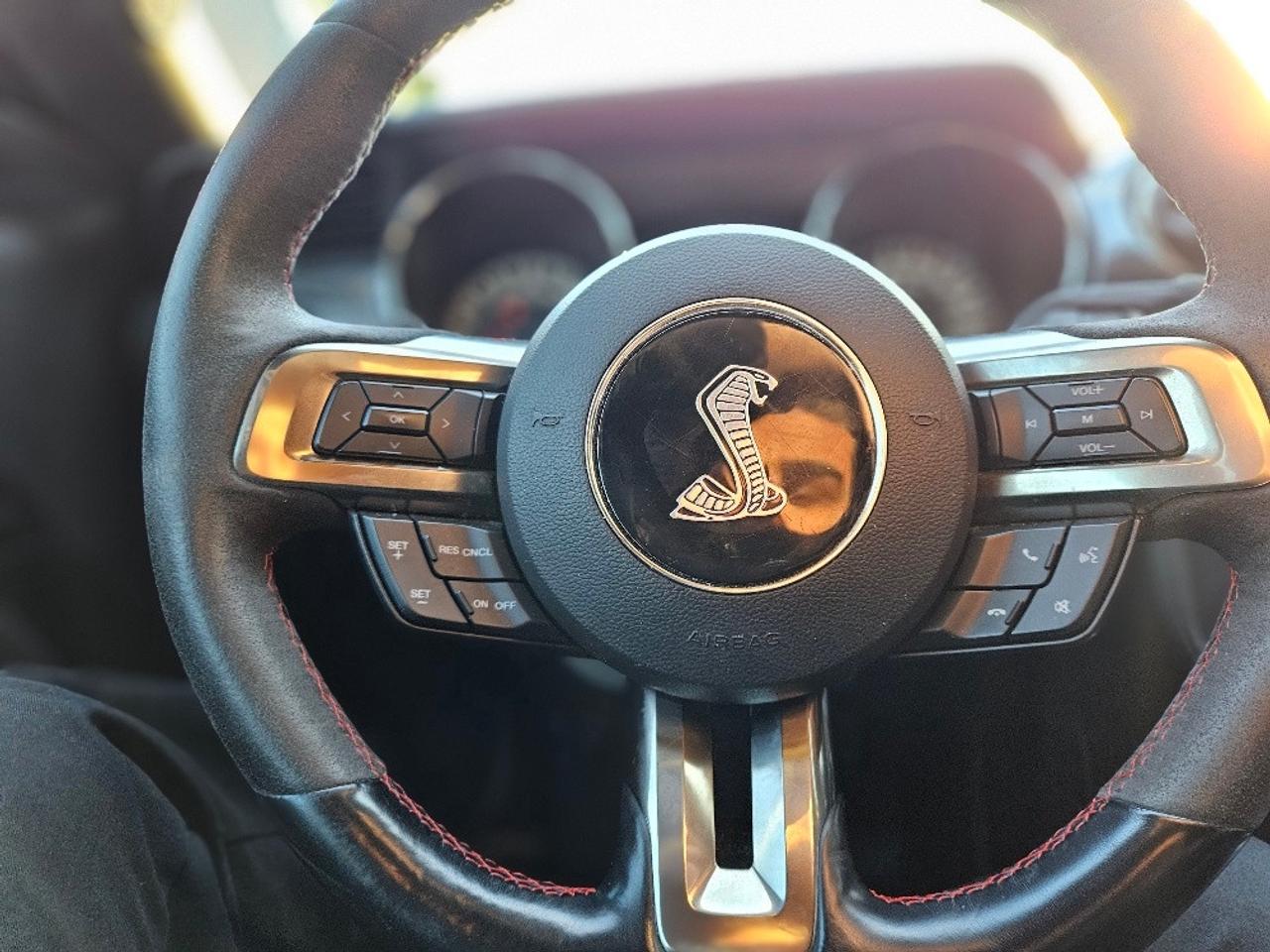 2017 Ford Mustang FASTBACK GT-6 SPEED MANUAL-5.0L COYOTE Photo