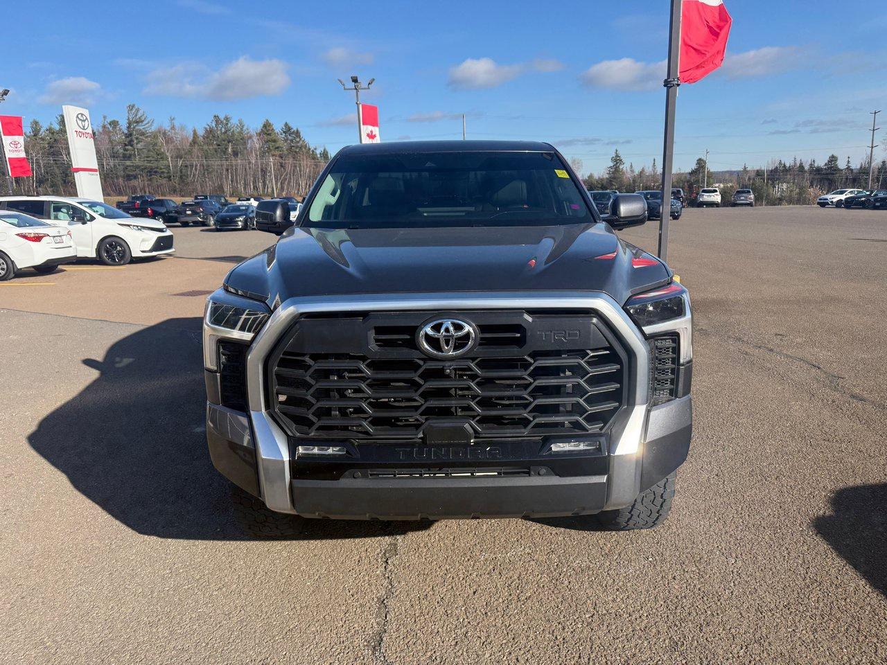 2024 Toyota Tundra Limited  Photo