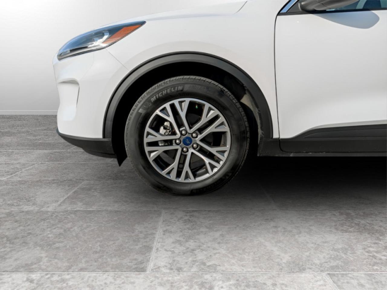 2021 Ford Escape SEL Photo