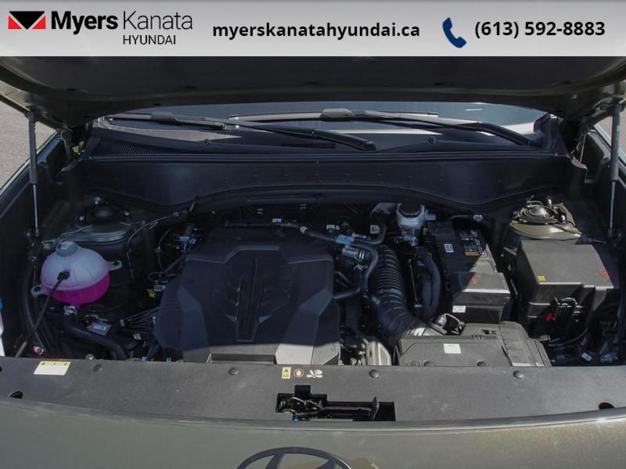 2026 Hyundai PALISADE XRT Pro  - Premium Audio - $202.43 /Wk Photo