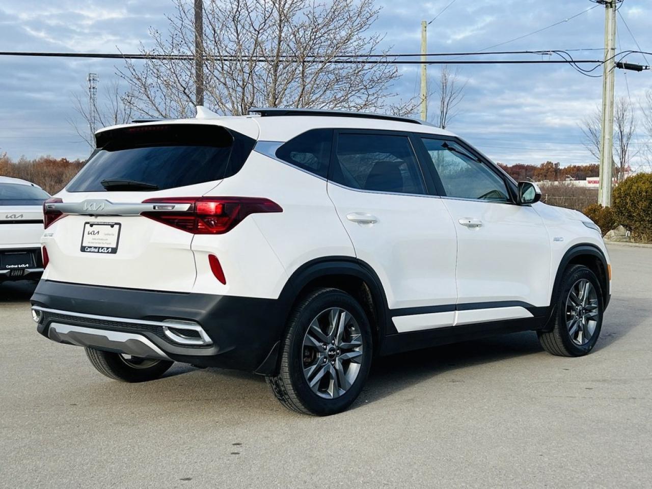 2022 Kia Seltos EX Photo