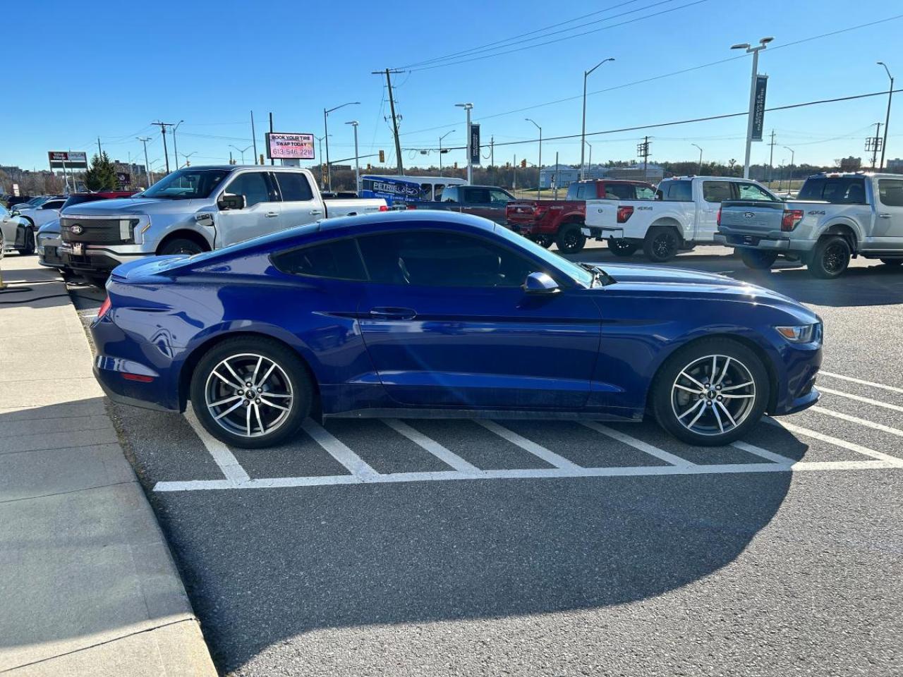 2015 Ford Mustang EcoBoost Premium Photo