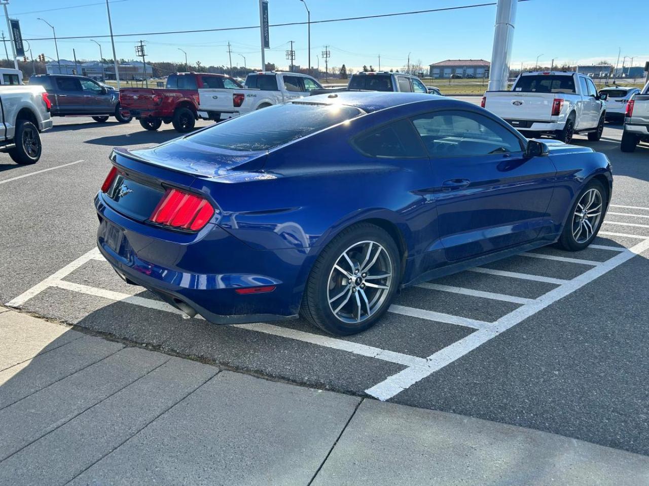 2015 Ford Mustang EcoBoost Premium Photo4