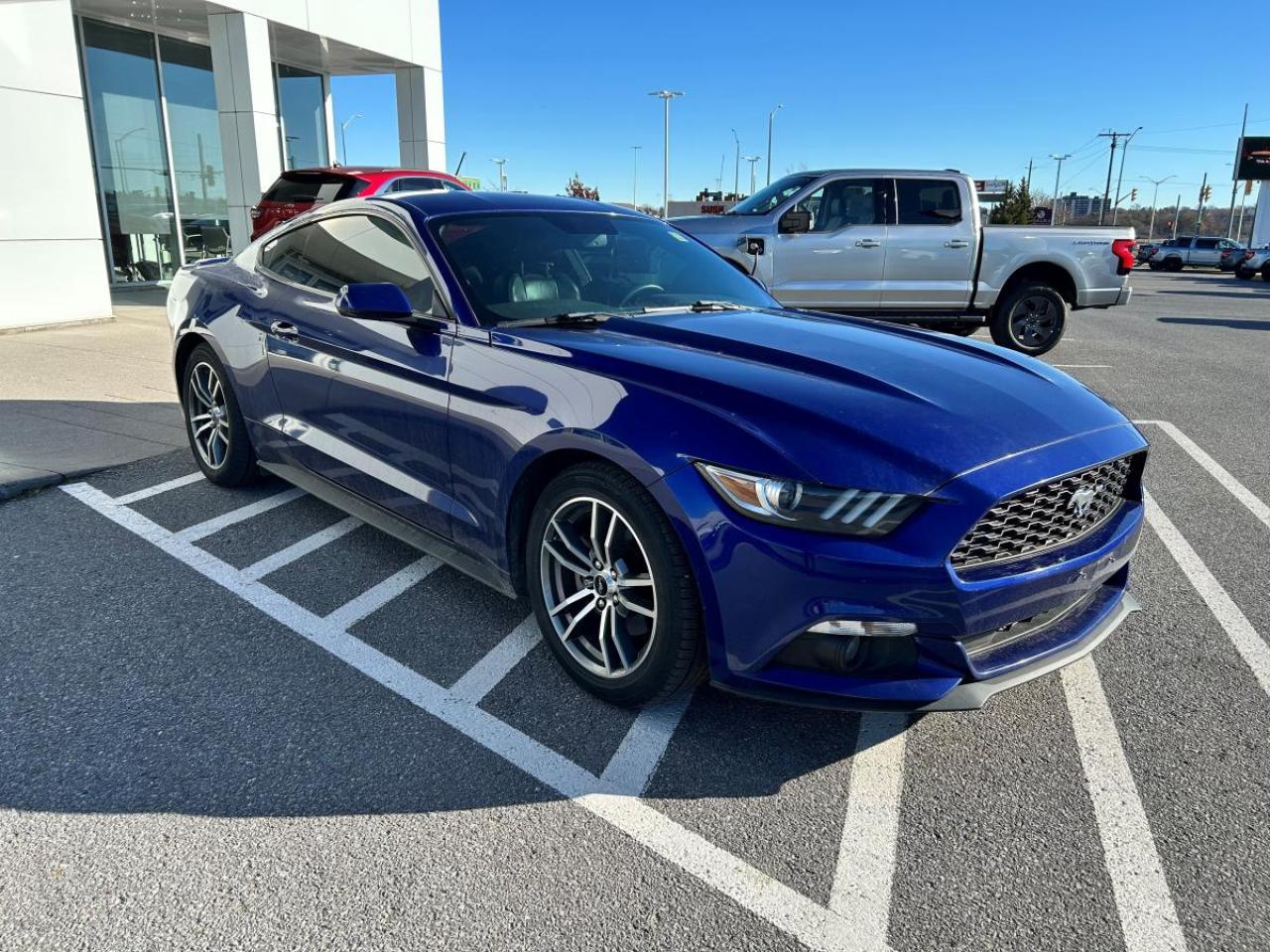 2015 Ford Mustang EcoBoost Premium Photo