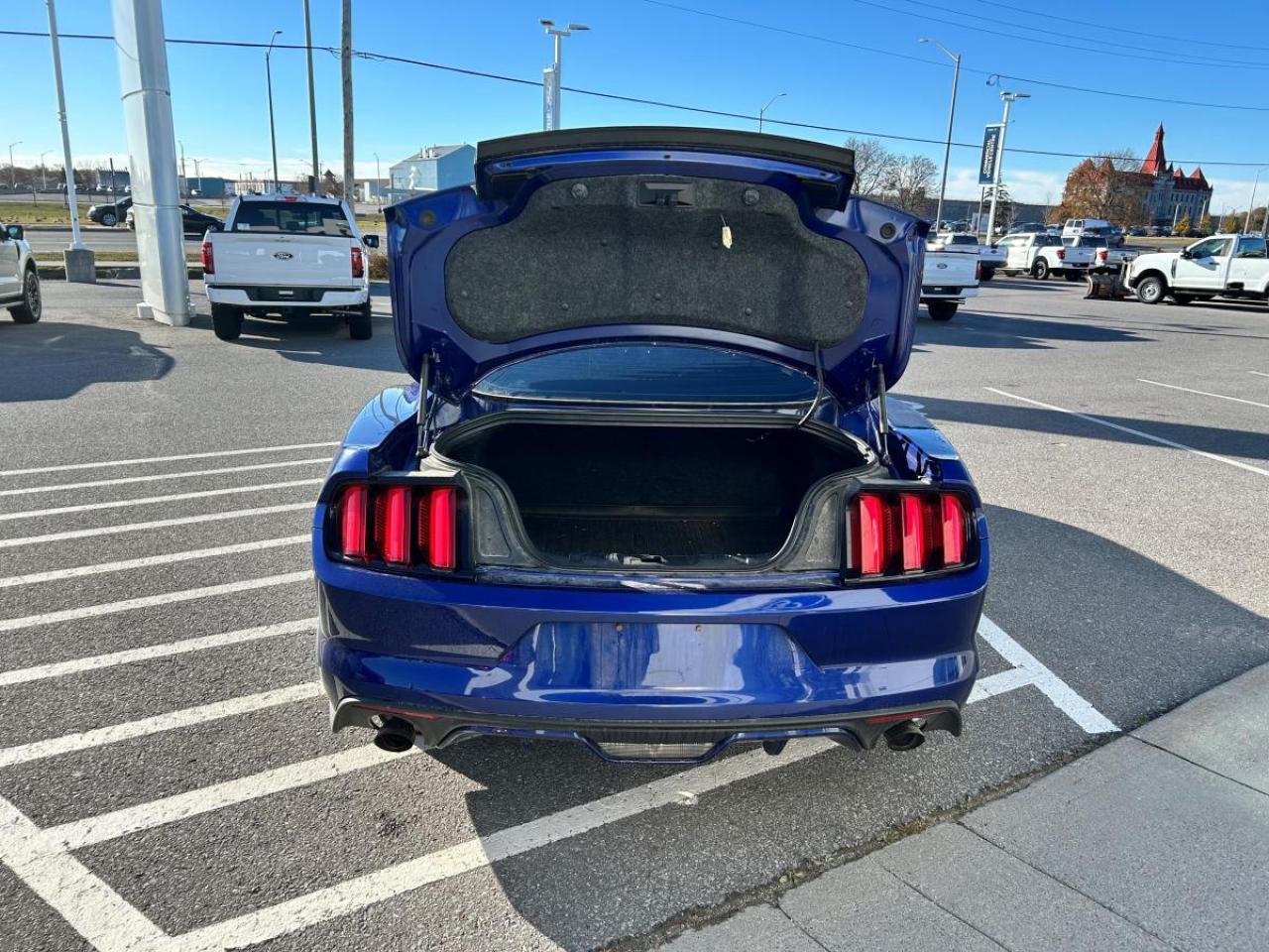 2015 Ford Mustang EcoBoost Premium Photo