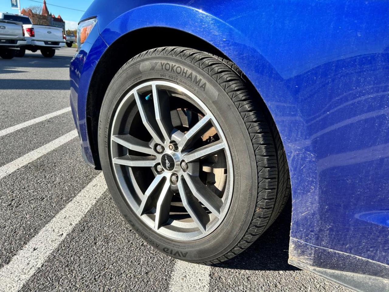 2015 Ford Mustang EcoBoost Premium Photo