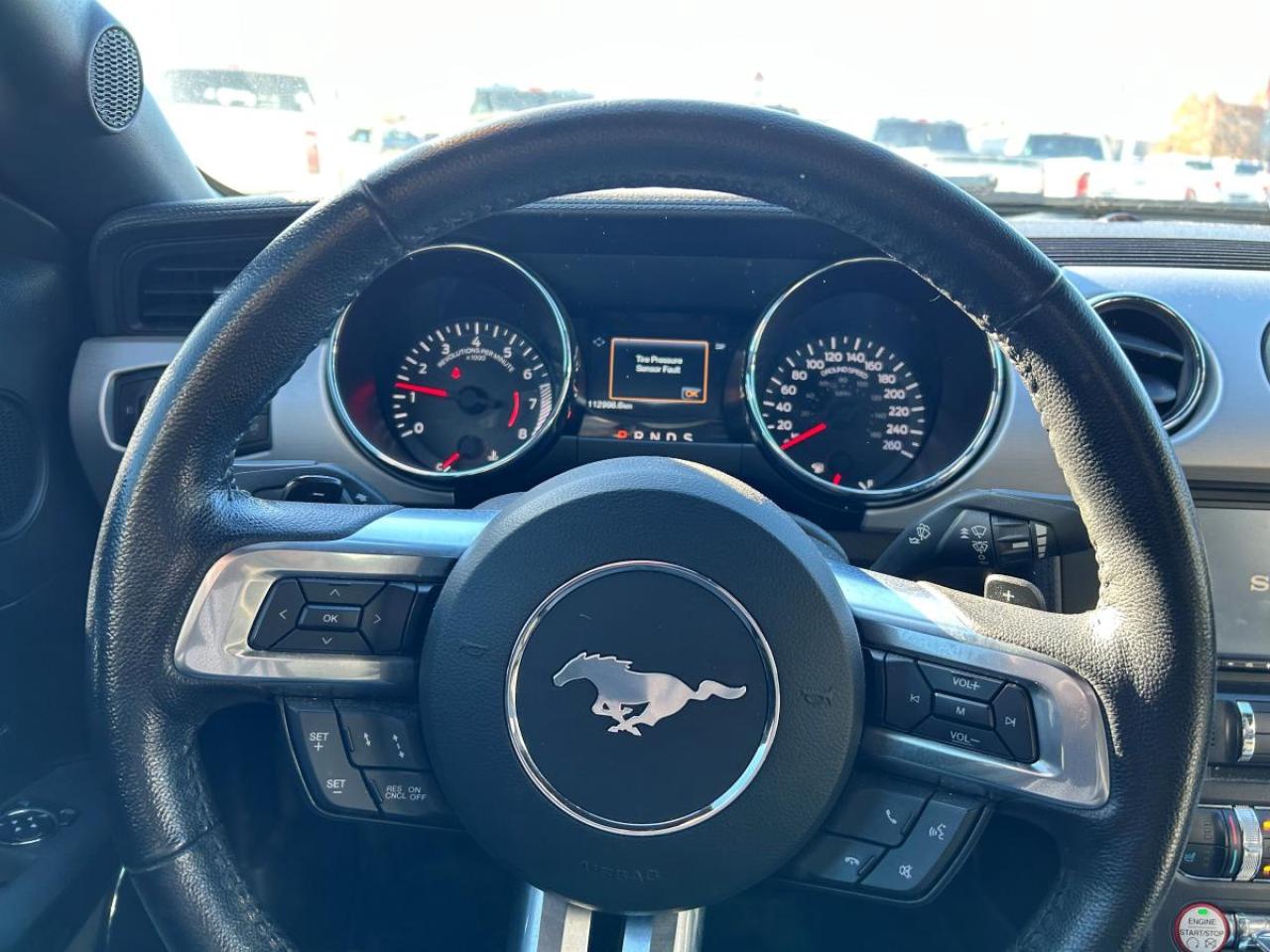 2015 Ford Mustang EcoBoost Premium Photo