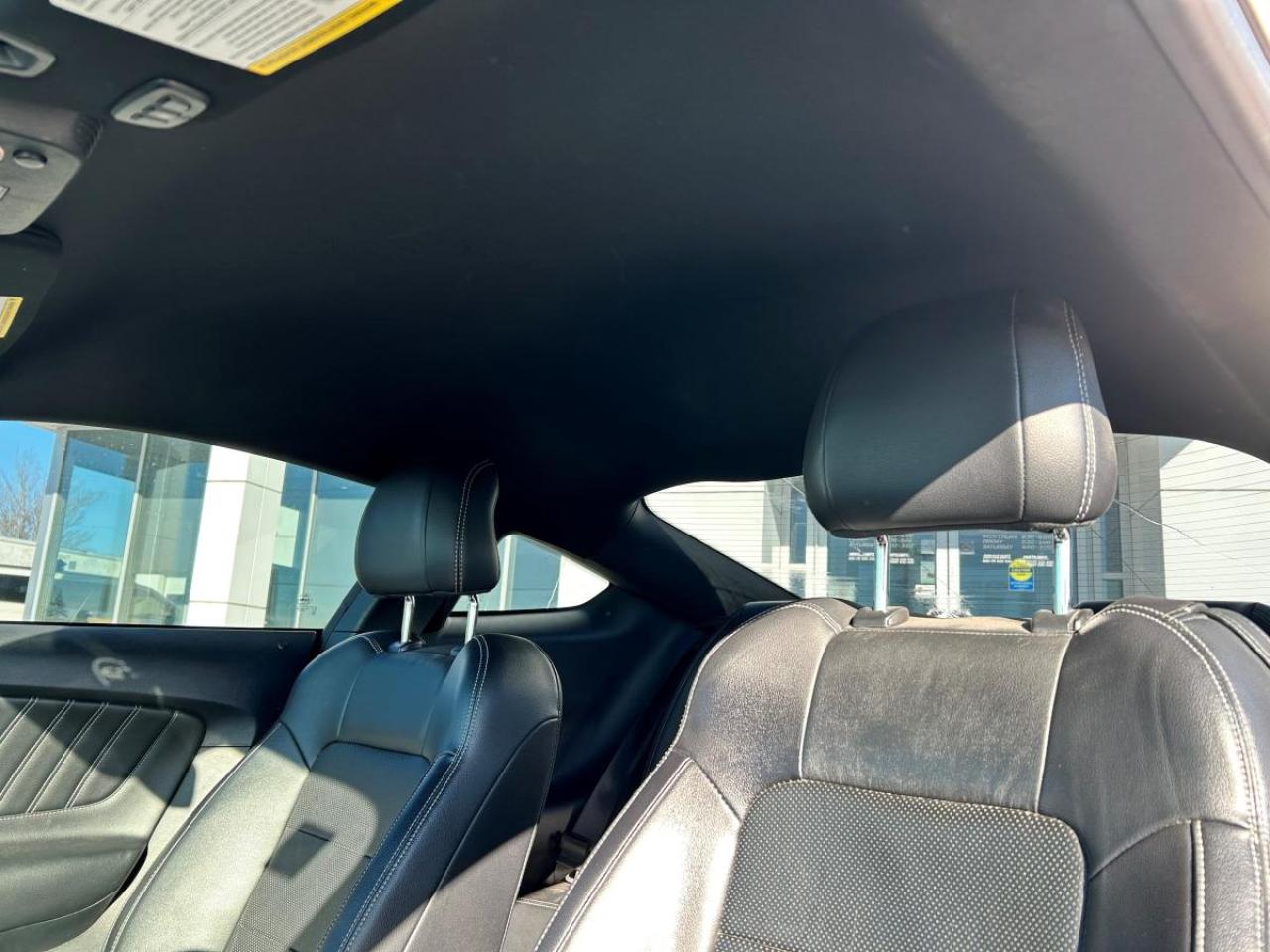 2015 Ford Mustang EcoBoost Premium Photo