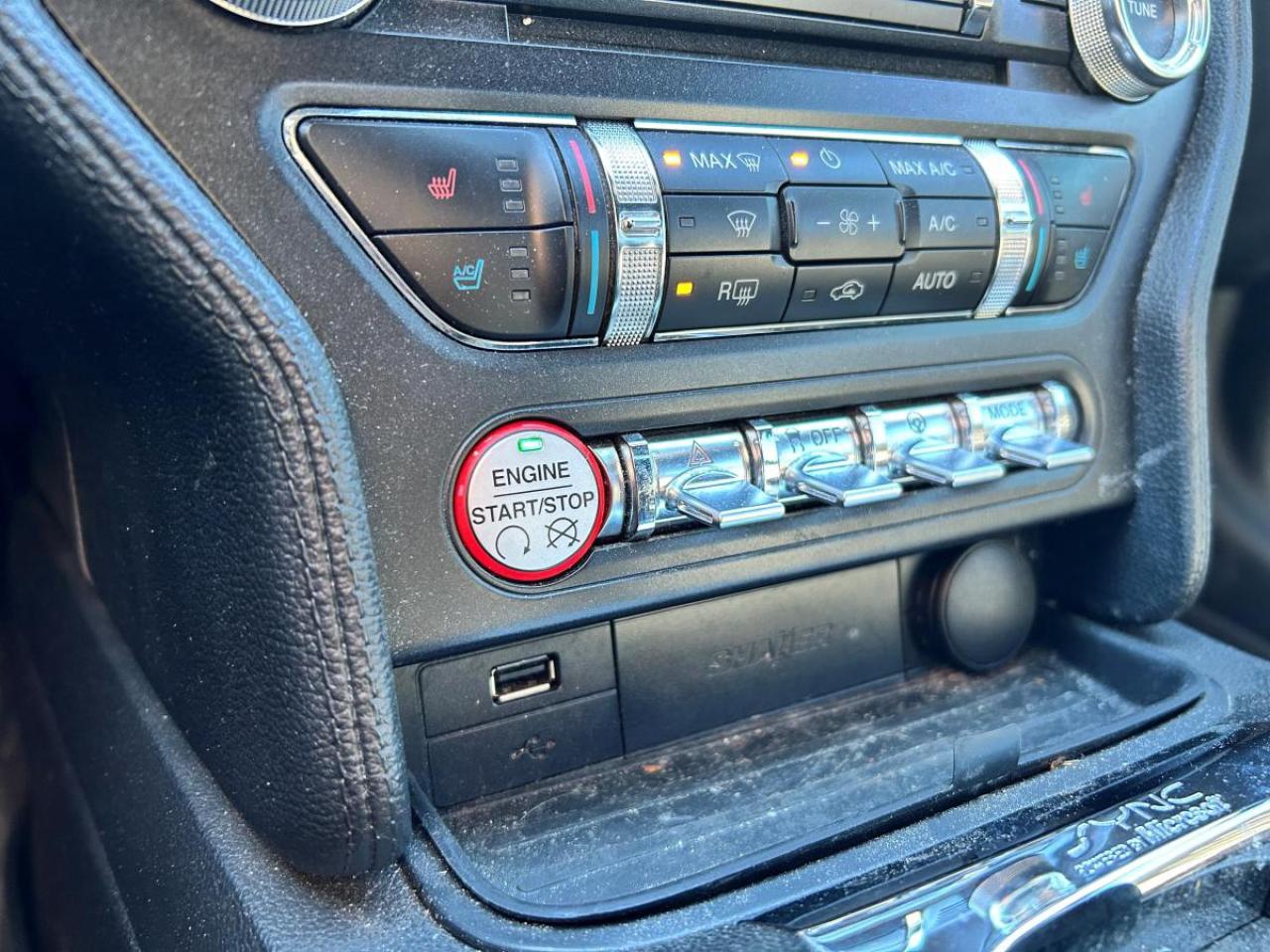 2015 Ford Mustang EcoBoost Premium Photo